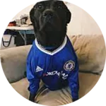 CakhiaTV – Xem trực tiếp bóng đá U23 Châu Á trọn cảm xúc 23 Khán giả Chân Đen Sì