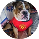 CakhiaTV – Xem trực tiếp bóng đá U23 Châu Á trọn cảm xúc 21 Khán giả Đàn Thị Mân Nu