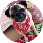 CakhiaTV – Xem trực tiếp bóng đá U23 Châu Á trọn cảm xúc 22 Khán giả Lữ Đoàn Cho Đỉm